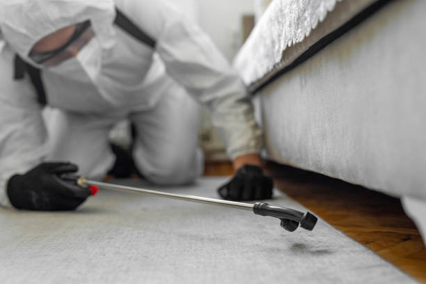 Professional Cockroach Control technician working in Winnebago County County, IL